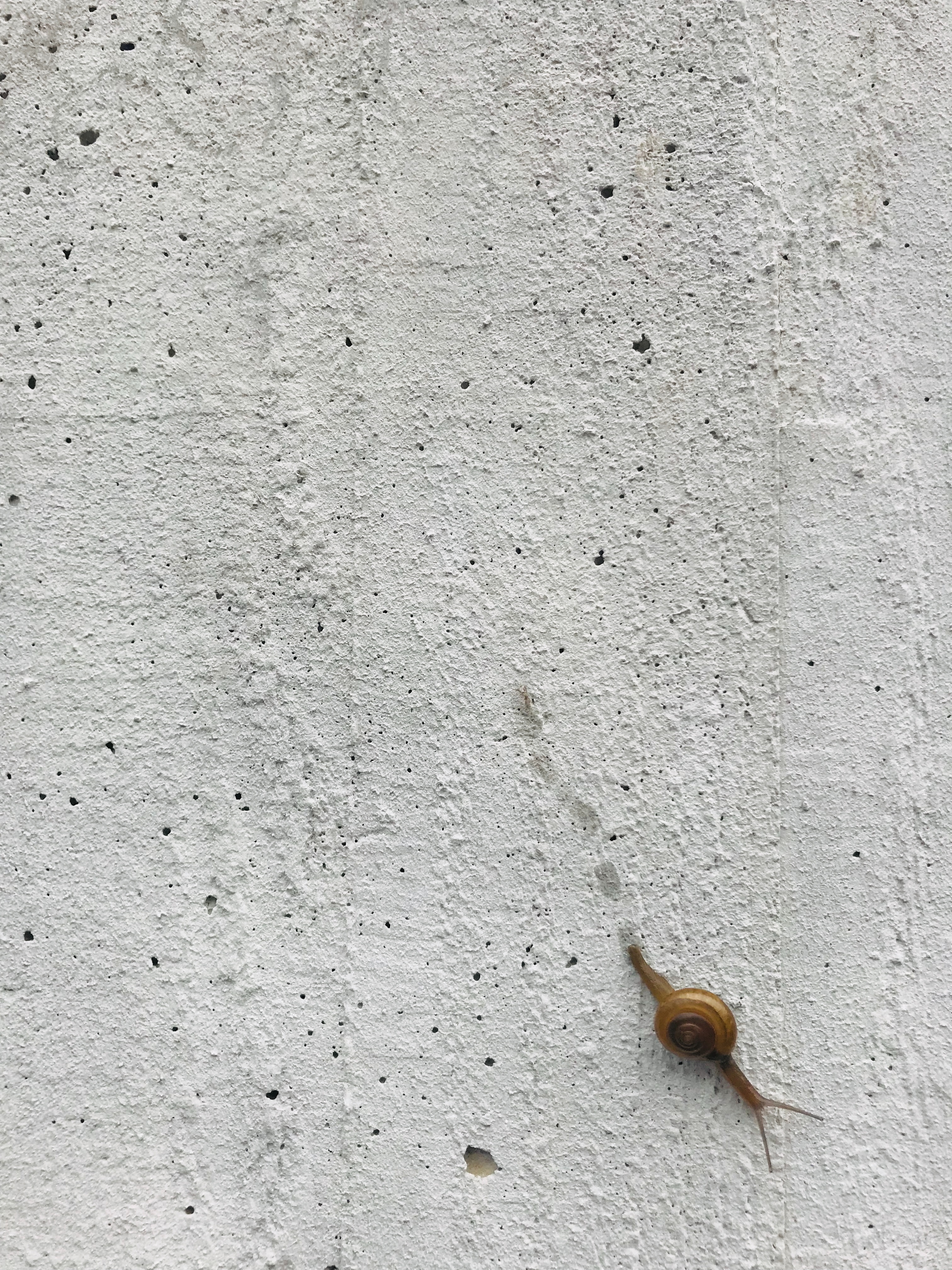 Photo de Gena Okami sur Unsplash