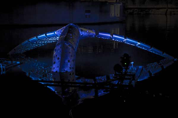 DR - Installation à Confluence article_4.jpg