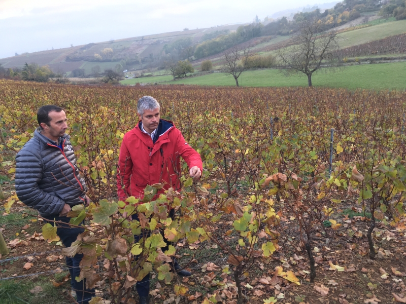 wauquiez-plan-beaujolais_13.jpg